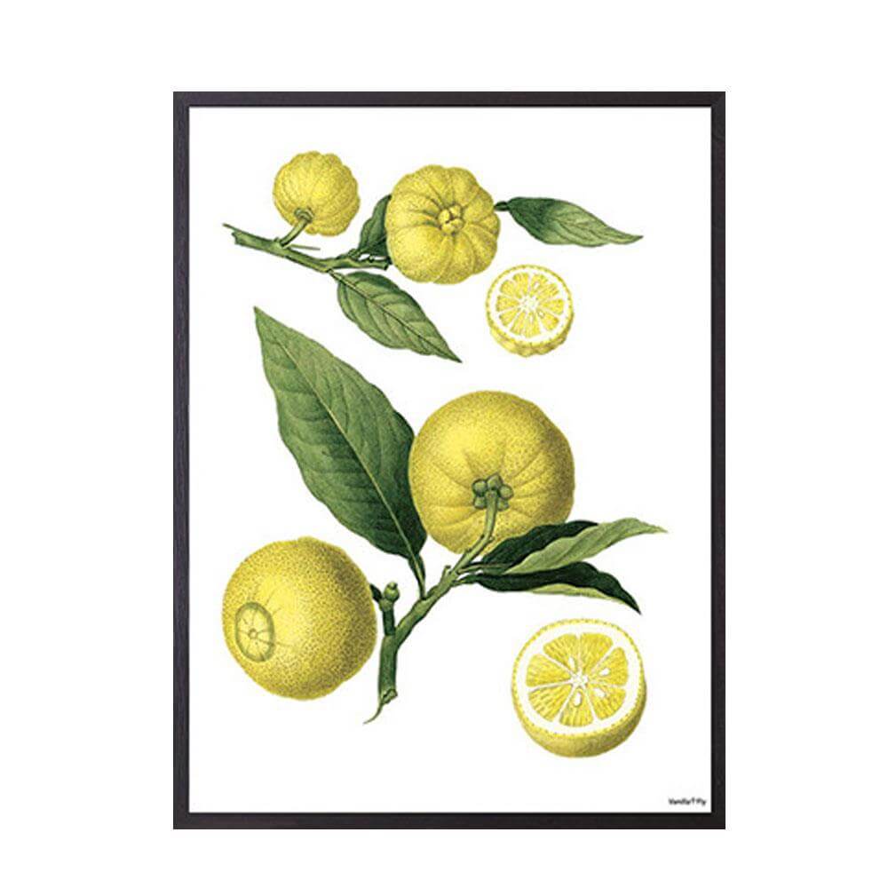 Vanilla Fly Poster Lemon 30x40 cm